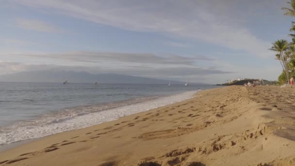 Tiro Trilha Ensolarada Nas Ondas Areia Sol Sutting Fundo Palmeiras — Vídeo de Stock