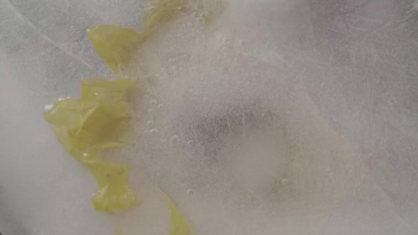 Tournesol Décongelé Entouré Glace — Video