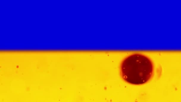 Red Bubbles Floating Blue Yellow Background Ukraine Flag Background Looped — Vídeo de Stock