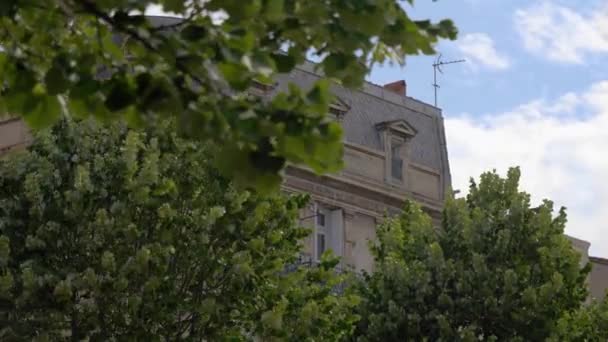 Top Old Residential Building Town Center Sete South France Leafy — Video Stock