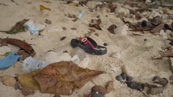 Küçük Çocukların Terlikleri Kumlu Plajda Takla Atıyor Doğal Ekosistemde Çöp — Stok video