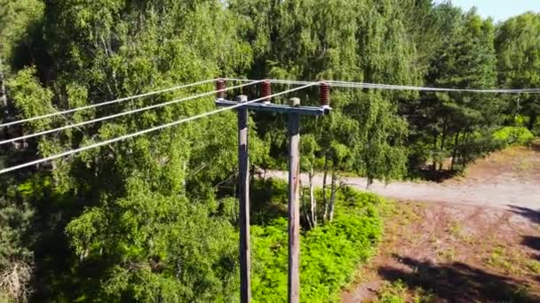 Thetford Norfolk Ormanı Ndaki Elektrik Direkleri Çiçek Açan Yeşil Ağaçların — Stok video