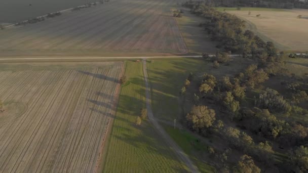 Повітряний Постріл Зображенням Зелених Полів Сільськогосподарських Угідь Далекій Країні Австралії — стокове відео
