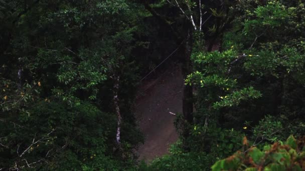 Costa Rica Wilderness Travel Adventure Exploring Monteverde Natural Reserve Central — Vídeo de stock