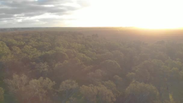 Powietrze Wznoszące Się Nad Suchym Korytem Potoku Kraju Wimmera Australii — Wideo stockowe
