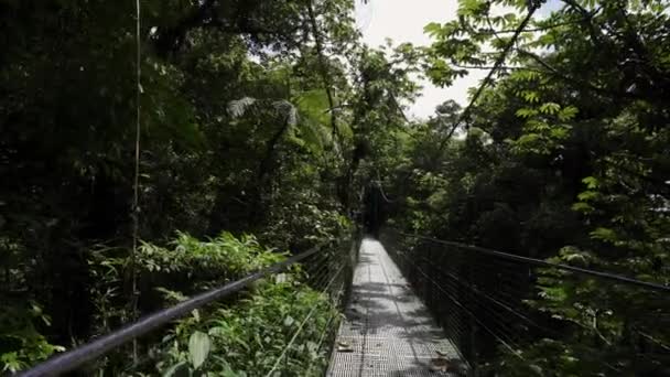 Prozkoumávání Divočiny Zelená Přírodní Džungle Kostarice Monteverde Rezervy Chůze Zavěšení — Stock video