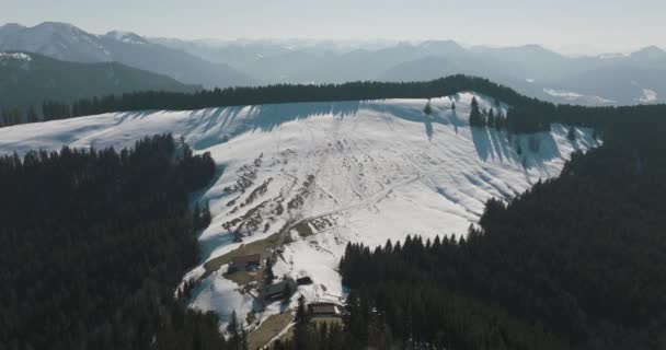 Widok Lotu Ptaka Nad Białym Śnieżnym Szczytem Góry Sosnami Krajobrazem — Wideo stockowe