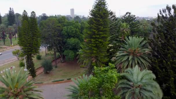 Distrito Central Negocios Bulawayo Desde Parque Centenario — Vídeos de Stock