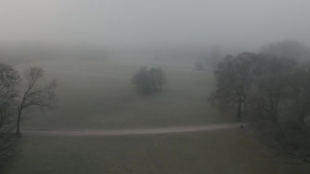 Luchtfoto Drone Foggy Eerie Haze English Garden München Duitsland — Stockvideo