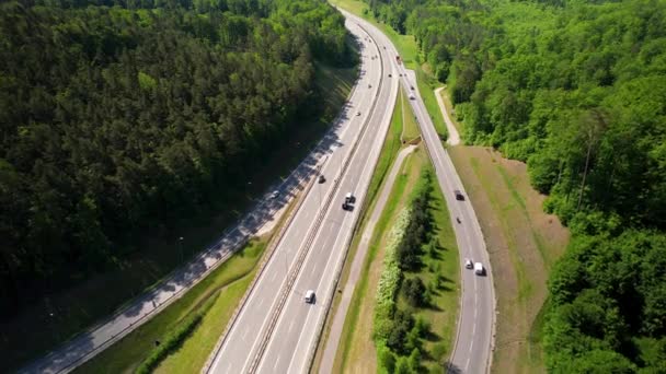 Drone Fåglar Ögonkast Visar Trafik Asfalt Motorväg Omgiven Grön Tät — Stockvideo