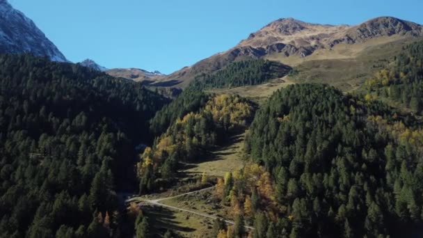Cinematic Drone Widok Lotu Nad Kolorowym Lesie Października Doliny Lsens — Wideo stockowe
