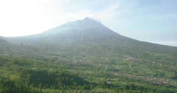 Langzame Voorwaartse Vlucht Landelijke Plantage Met Merapi Vulkaan Achtergrond — Stockvideo