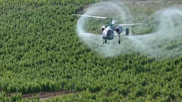 Zemědělské Práce Helikoptéra Stříkající Nad Vinicovým Polem Pesticid Farmě Chemikálie — Stock video