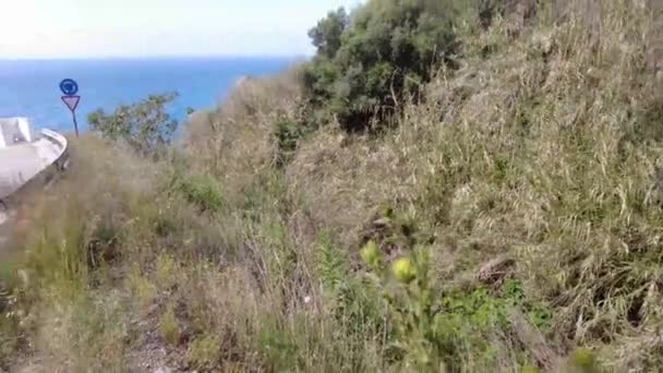 西班牙马罗郊外的风景景观 一个人在路上走着 地中海在背景中 通往海滩的道路两旁的棕榈树 — 图库视频影像