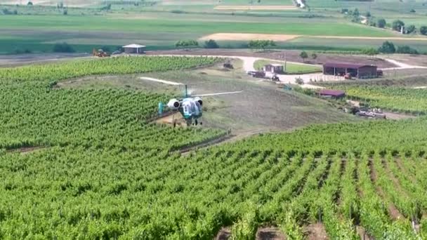 Trabajos Agrícolas Pulverización Helicópteros Sobre Campo Viñedos Pesticida Campo Granja — Vídeos de Stock