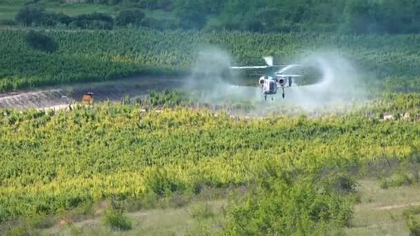 Zemědělské Práce Helikoptéra Stříkající Nad Vinicovým Polem Pesticid Farmě Chemikálie — Stock video