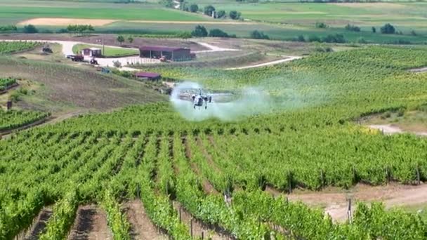 Agricultural Works Helicopter Spraying Vineyard Field Pesticide Farm Field Pest — ストック動画