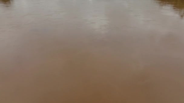 Повітряний Нахил Вгору Постріл Показує Коричневі Кольорові Річки Амазонки Тропічні — стокове відео