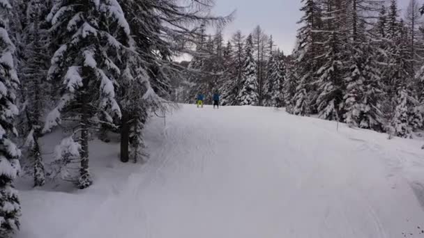 意大利蒂罗尔南部雪地森林中央的越野滑雪者上空的空中景观很低 — 图库视频影像