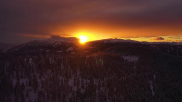 Aerial View Forest Sunset Mountains Winter Tyrol Italy Rising Drone — 비디오