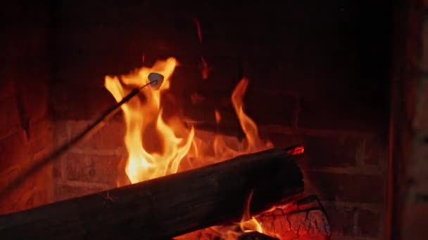 Marshmallow Wooden Stick Rosted Fireplace Slow Motion — Stock videók