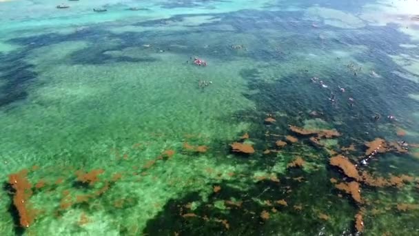 Luchtfoto Van Kristalhelder Water Akumal Tulum Quintana Roo Mexico Caribische — Stockvideo