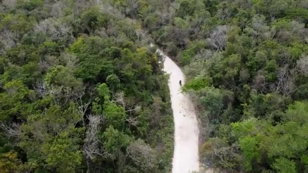アクマル メキシコの木々に囲まれた未舗装道路でのバイク運転の空中撮影 森の道に乗って現代のスクランブルバイク — ストック動画