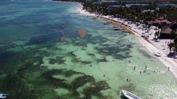 Flygfoto Människor Som Njuter Stranden Akumal Tulum Quintana Roo Mexiko — Stockvideo