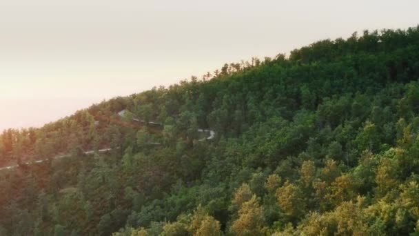 Aerial Shot Dense Forest Chianti Region Tuscany Italy — Stock Video
