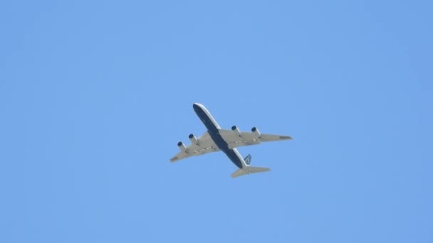 撒马利亚人的Dc 8珍稀飞机在空中飞行 — 图库视频影像