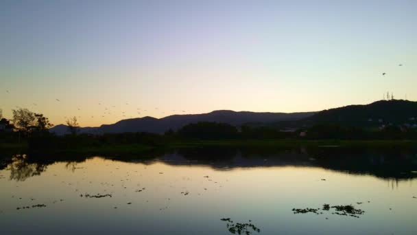 Sonnenuntergangsreflexionen Einer Lagune Mit Umherfliegenden Vögeln Und Bergen Als Hintergrund — Stockvideo