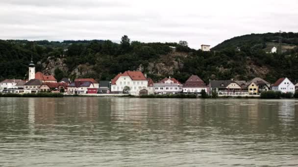 Oiseaux Sur Danube Dans Ville Portuaire Allemande — Video