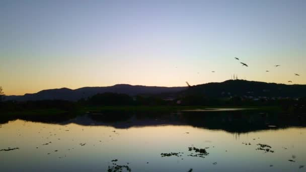 180度美丽的落日和一群小鸟的映像 — 图库视频影像
