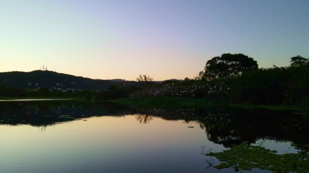 Filmato Bellissimo Tramonto Con Uno Stormo Uccelli Filmati Tranquilli — Video Stock