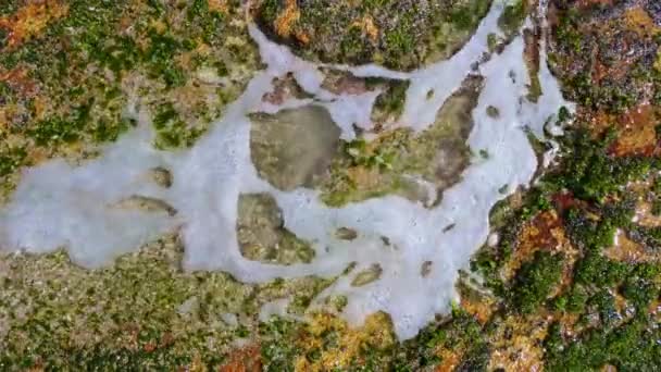 Крупный План Кадры Пляжных Волн Ударяющих Скалам Мосси — стоковое видео