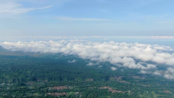 Пейзаж Острова Ява Фоне Леса Вид Воздуха — стоковое видео
