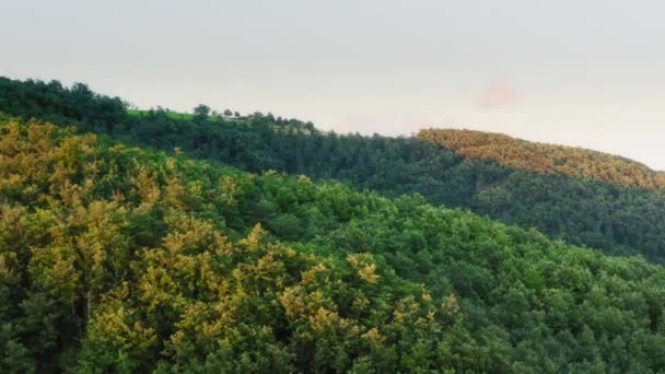 イタリア トスカーナ州キアンティ地方の鬱蒼とした森のドローン撮影 — ストック動画