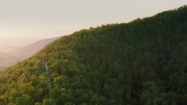 Letecký Výstup Přes Svěží Lesy Regionu Chianti Toskánsko Itálie — Stock video