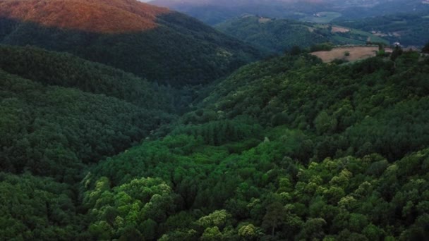 緑豊かな自然 キアンティ地方 イタリア上空の空中ドローンビュー — ストック動画