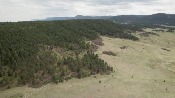 Aerial Flyover Ridge Evergreen Trees Rocky Mountain Range Distance — Stock Video