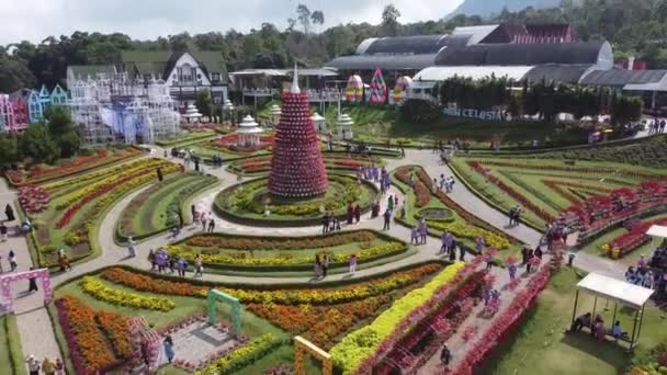Semarang Indonesia June 2022 Top View Beautiful Flower Garden Middle — Stok video