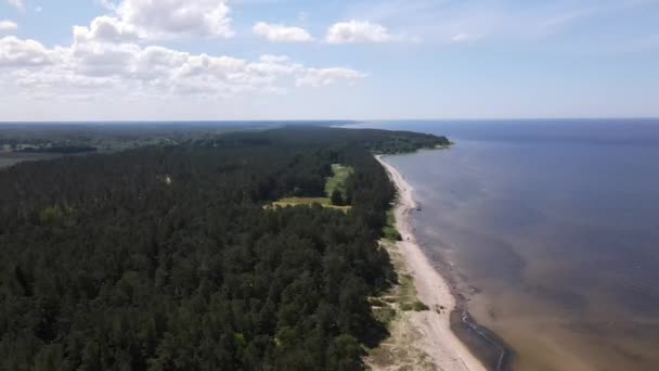 Plan Réel Survolant Forêt Mer — Video
