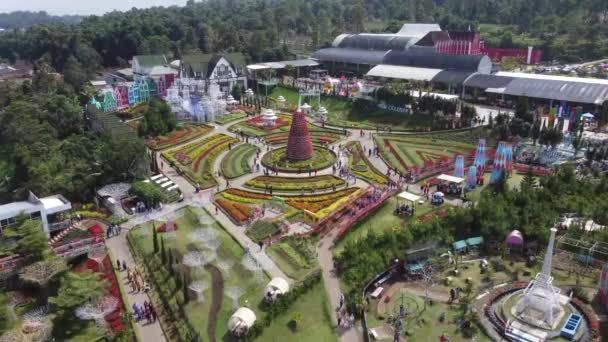 Semarang Endonezya Haziran 2022 Semarang Endonezya Daki Güzel Çiçek Bahçesinin — Stok video
