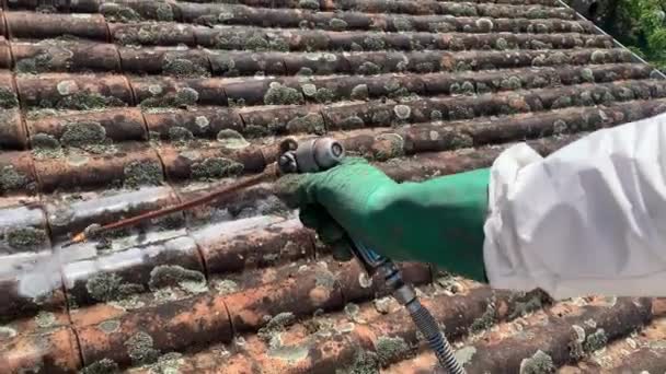 Viewpoint Professional Worker While Performing Fungicide Roof Treatment Pov Shot — Stockvideo