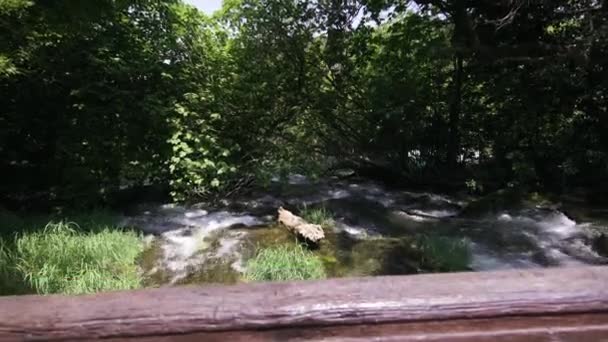 Parco Nazionale Krka Croazia Fiume Foresta Nella Soleggiata Giornata Estiva — Video Stock