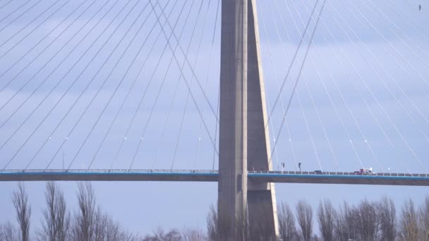 Cabos Pilão Concreto Pont Normandie Cable Stay Bridge Crossing River — Vídeo de Stock
