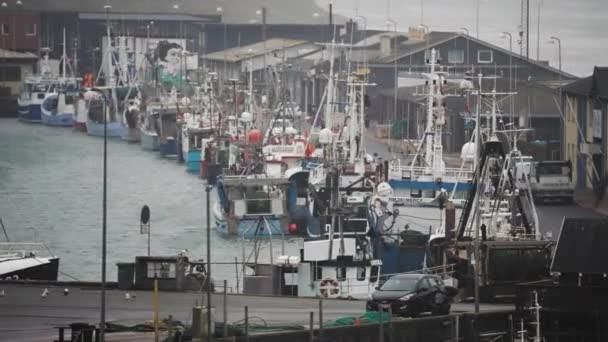 Puerto Hitshals Por Mañana Temprano Barcos Botes Amarrados Muelle Cámara — Vídeo de stock