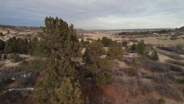 Trees Recreation Area Beautiful Colorado Aerial Drone Shot Horizontal Cloudy — Stockvideo