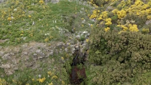 Aerial Forward Small Waterfall Madeira — Vídeo de Stock