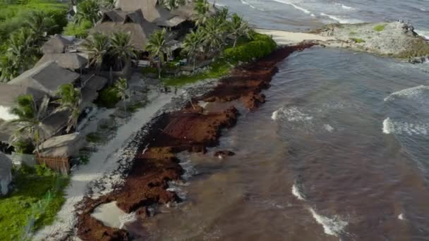 墨西哥图卢姆 中午涨潮时 热带加勒比海滨海滨美丽度假胜地的无人机向后移动 — 图库视频影像